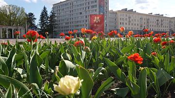 Беларусь в канун празднования Дня Победы