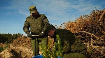 «Дай лесу новае жыццё!». Военные ВВС и войск ПВО высадили деревья