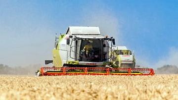 Third Belarusian region to overcome one million ton's mark in grain crop