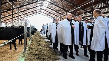 Lukashenko on northern part of Vitebsk Region: people need to live well here