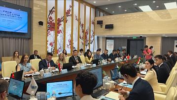 The Belarusian delegation took part in the meeting of the SCO Youth Council