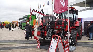 The best achievements of the forestry industry — on one site