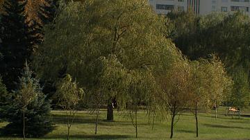 The first frosts are expected in Belarus