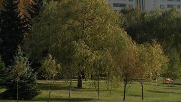 The first frosts are expected in Belarus
