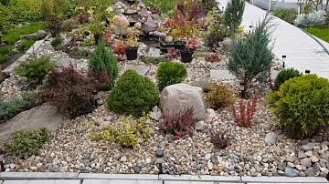 В Беларуси подведены итоги конкурса «Растение 2026 года»