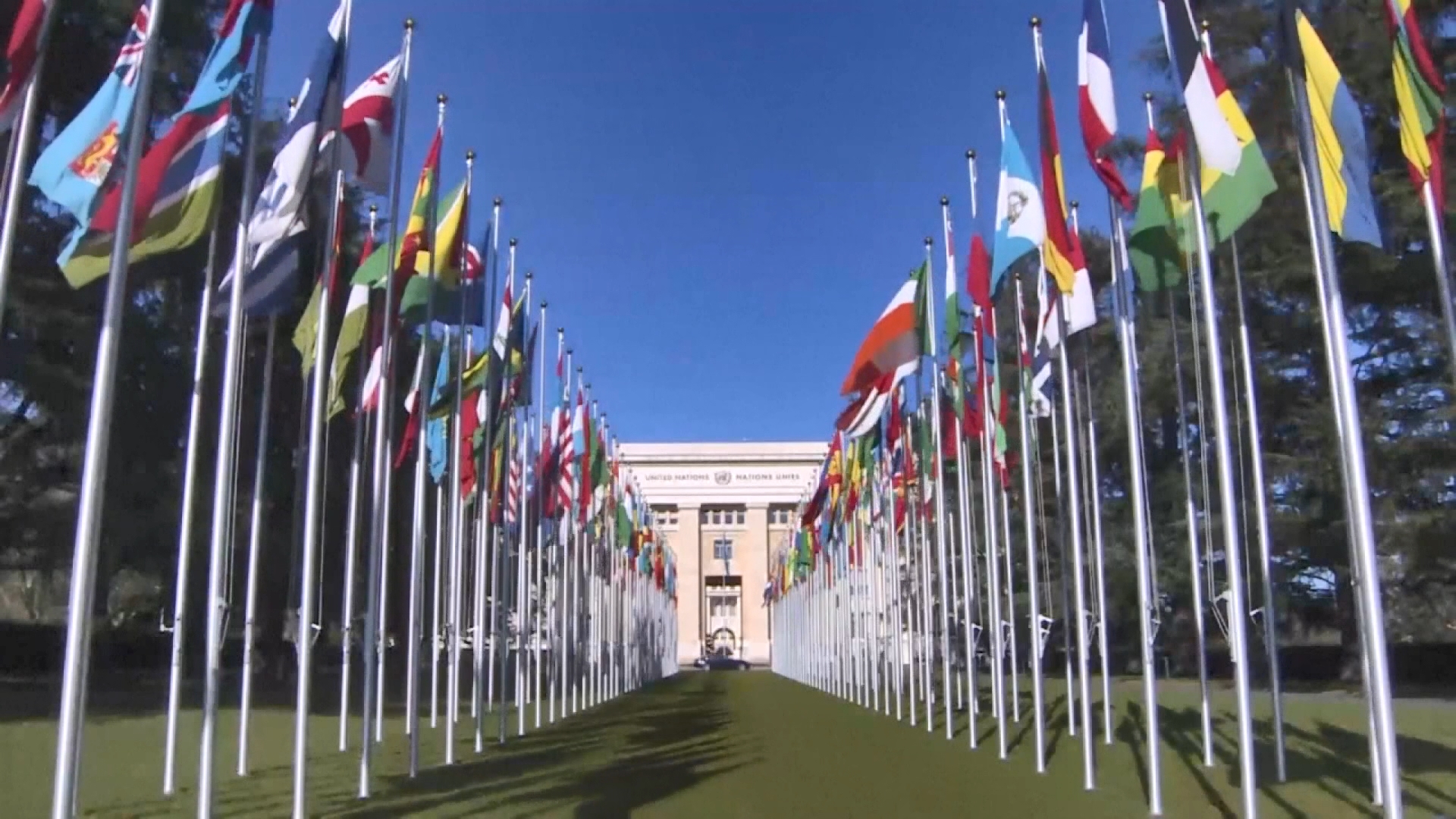 Беларусь примет участие в 69-й сессии Европейской экономической комиссии ООН