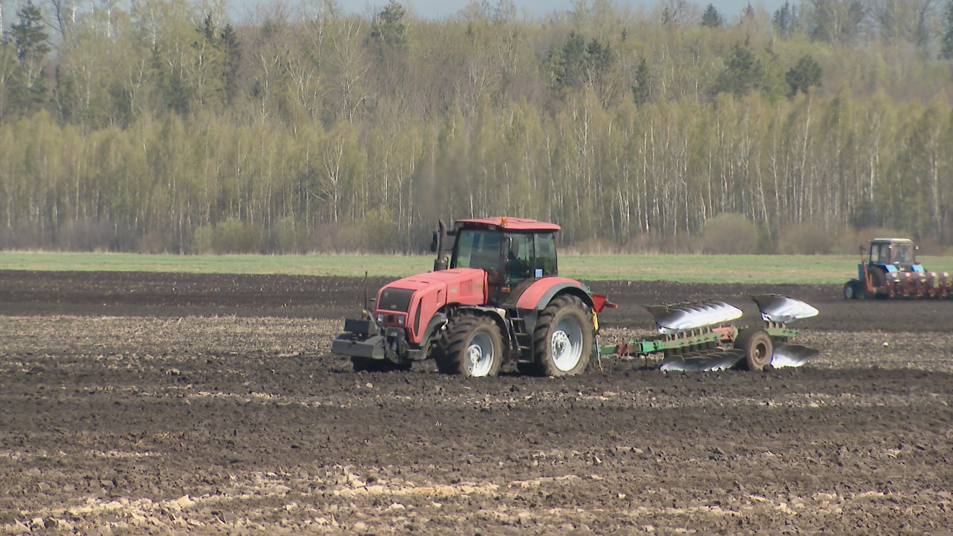 В Минской области завершают сев кукурузы