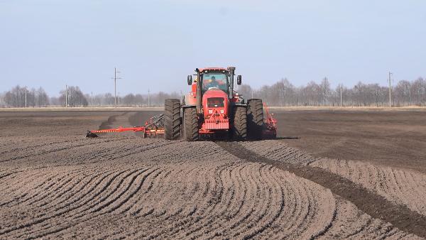 Sowing of early spring crops in Belarus